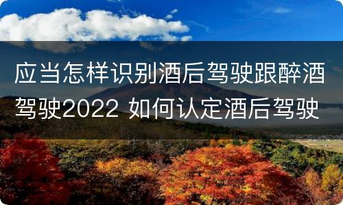 应当怎样识别酒后驾驶跟醉酒驾驶2022 如何认定酒后驾驶