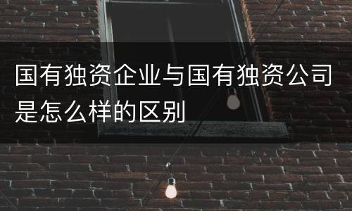 国有独资企业与国有独资公司是怎么样的区别