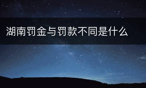 湖南罚金与罚款不同是什么
