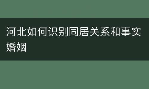 河北如何识别同居关系和事实婚姻