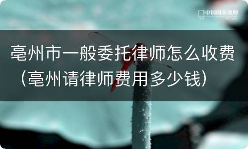 亳州市一般委托律师怎么收费（亳州请律师费用多少钱）
