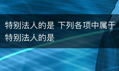 特别法人的是 下列各项中属于特别法人的是