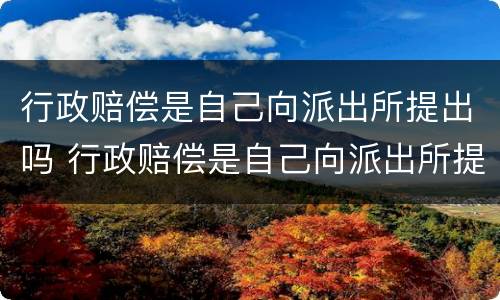 行政赔偿是自己向派出所提出吗 行政赔偿是自己向派出所提出吗为什么