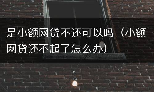 是小额网贷不还可以吗（小额网贷还不起了怎么办）