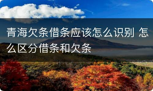 青海欠条借条应该怎么识别 怎么区分借条和欠条