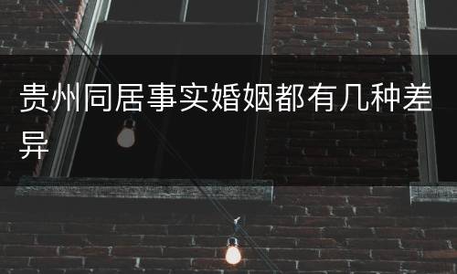 贵州同居事实婚姻都有几种差异