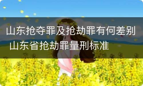 山东抢夺罪及抢劫罪有何差别 山东省抢劫罪量刑标准