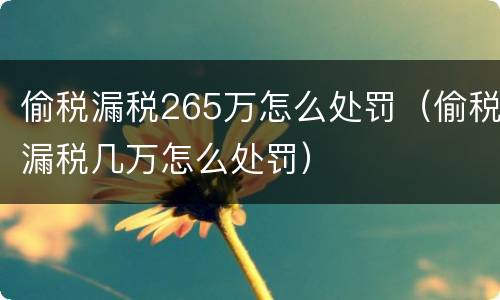 偷税漏税265万怎么处罚（偷税漏税几万怎么处罚）