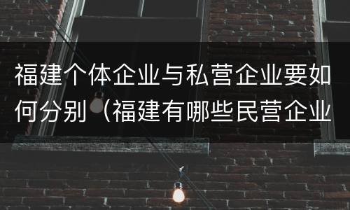 福建个体企业与私营企业要如何分别（福建有哪些民营企业）