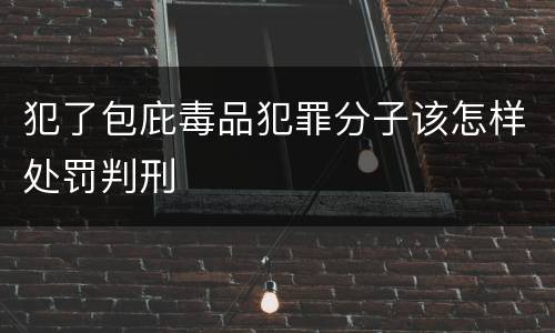 犯了包庇毒品犯罪分子该怎样处罚判刑
