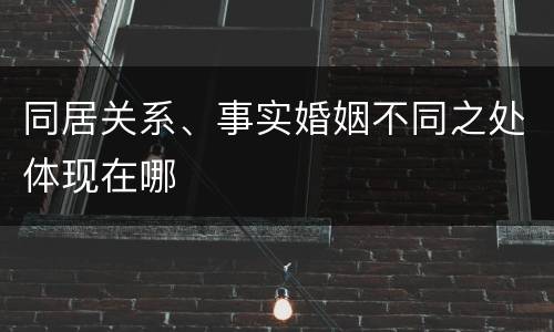 同居关系、事实婚姻不同之处体现在哪