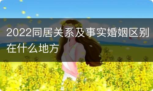 2022同居关系及事实婚姻区别在什么地方