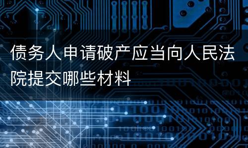 债务人申请破产应当向人民法院提交哪些材料