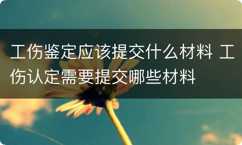工伤鉴定应该提交什么材料 工伤认定需要提交哪些材料