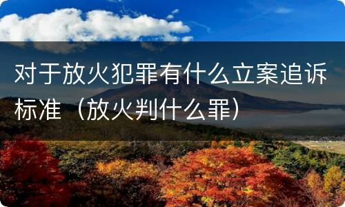 对于放火犯罪有什么立案追诉标准（放火判什么罪）