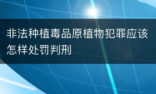 非法种植毒品原植物犯罪应该怎样处罚判刑