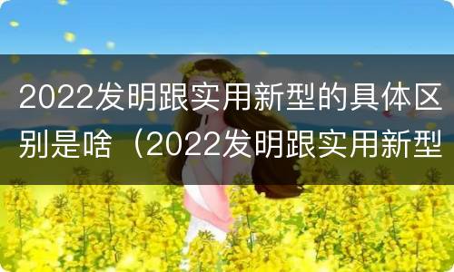 2022发明跟实用新型的具体区别是啥（2022发明跟实用新型的具体区别是啥呢）
