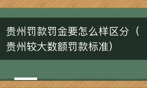 贵州罚款罚金要怎么样区分（贵州较大数额罚款标准）