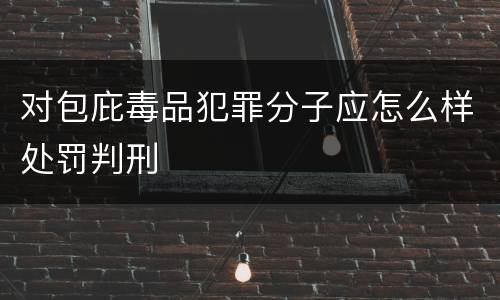 对包庇毒品犯罪分子应怎么样处罚判刑
