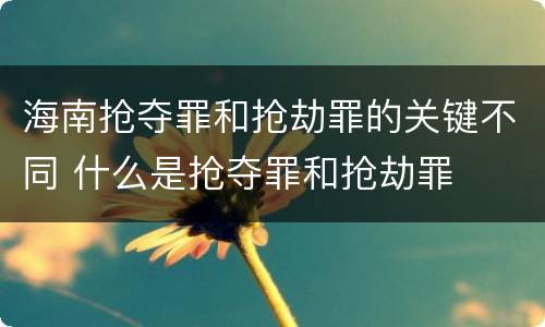 海南抢夺罪和抢劫罪的关键不同 什么是抢夺罪和抢劫罪