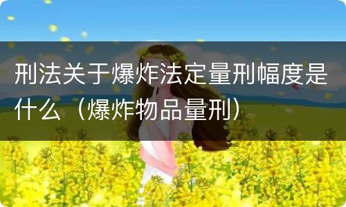 刑法关于爆炸法定量刑幅度是什么（爆炸物品量刑）