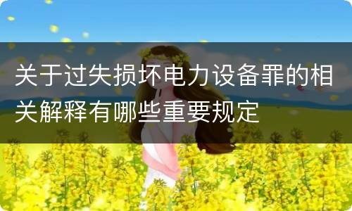 关于过失损坏电力设备罪的相关解释有哪些重要规定