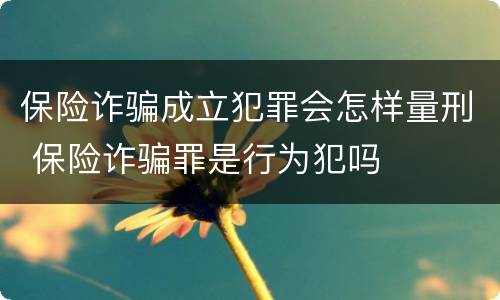 保险诈骗成立犯罪会怎样量刑 保险诈骗罪是行为犯吗