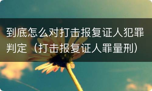 到底怎么对打击报复证人犯罪判定（打击报复证人罪量刑）