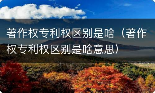 著作权专利权区别是啥（著作权专利权区别是啥意思）