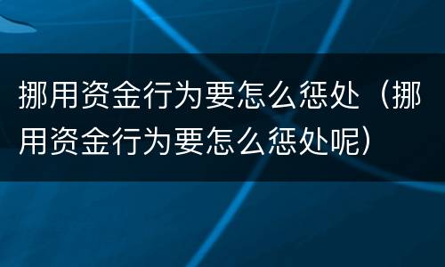 挪用资金行为要怎么惩处（挪用资金行为要怎么惩处呢）