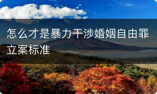 怎么才是暴力干涉婚姻自由罪立案标准