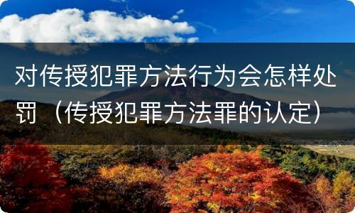 对传授犯罪方法行为会怎样处罚（传授犯罪方法罪的认定）