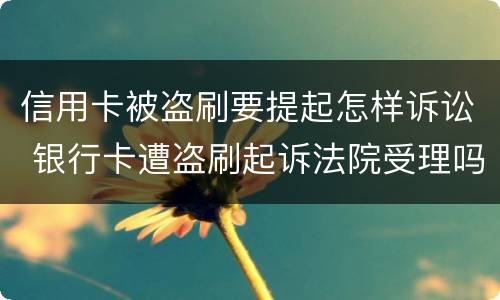信用卡被盗刷要提起怎样诉讼 银行卡遭盗刷起诉法院受理吗