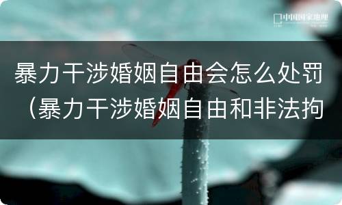 暴力干涉婚姻自由会怎么处罚（暴力干涉婚姻自由和非法拘禁）