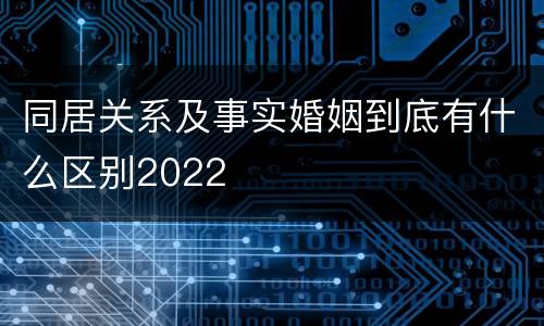 同居关系及事实婚姻到底有什么区别2022