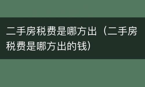 二手房税费是哪方出（二手房税费是哪方出的钱）
