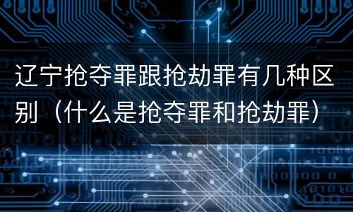 辽宁抢夺罪跟抢劫罪有几种区别（什么是抢夺罪和抢劫罪）