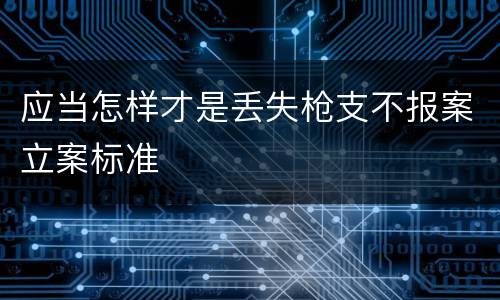 应当怎样才是丢失枪支不报案立案标准