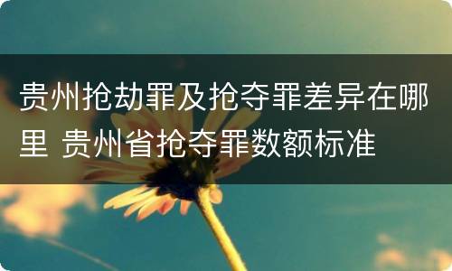 贵州抢劫罪及抢夺罪差异在哪里 贵州省抢夺罪数额标准
