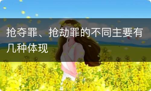 抢夺罪、抢劫罪的不同主要有几种体现