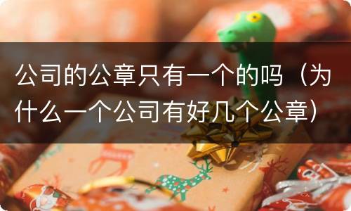 公司的公章只有一个的吗（为什么一个公司有好几个公章）