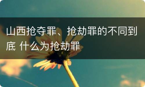 山西抢夺罪、抢劫罪的不同到底 什么为抢劫罪