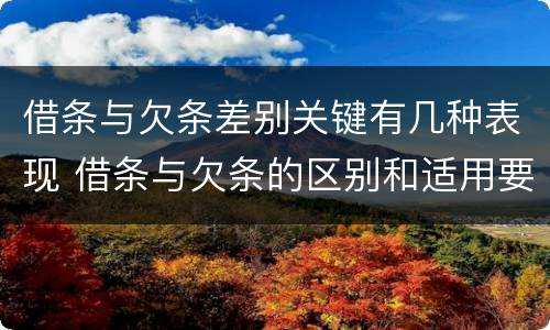 借条与欠条差别关键有几种表现 借条与欠条的区别和适用要点