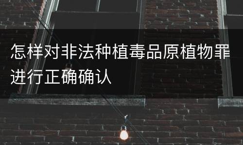 怎样对非法种植毒品原植物罪进行正确确认