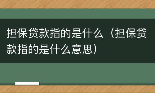 担保贷款指的是什么（担保贷款指的是什么意思）