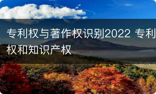 专利权与著作权识别2022 专利权和知识产权