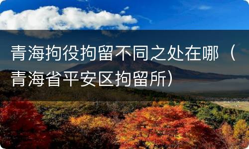 青海拘役拘留不同之处在哪（青海省平安区拘留所）