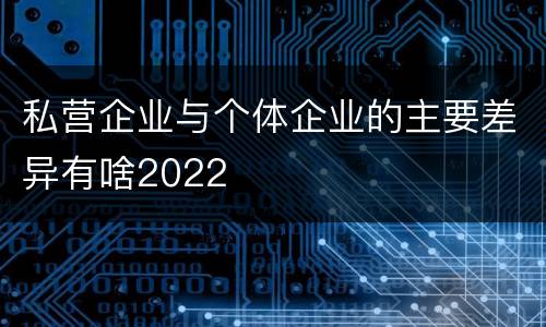 私营企业与个体企业的主要差异有啥2022