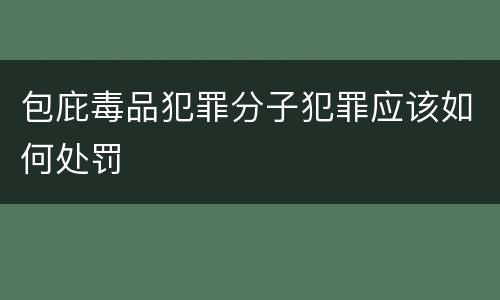 包庇毒品犯罪分子犯罪应该如何处罚