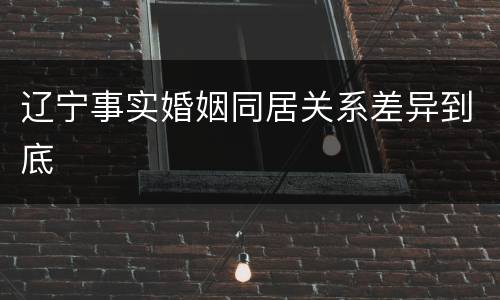 辽宁事实婚姻同居关系差异到底